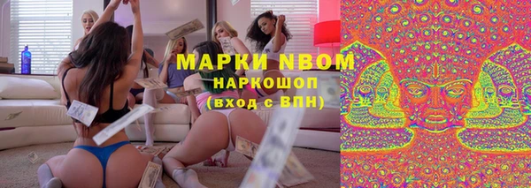 ГАЛЛЮЦИНОГЕННЫЕ ГРИБЫ Алзамай