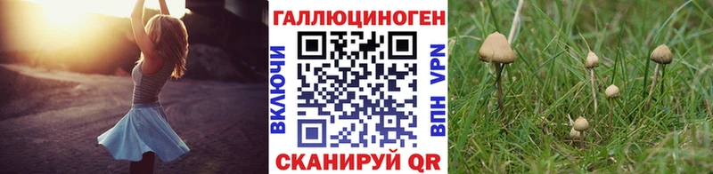 цены наркотик  Темрюк  Псилоцибиновые грибы мухоморы 