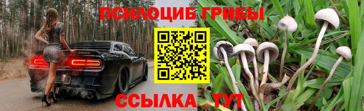 Темрюк  Галлюциногенные грибы GOLDEN TEACHER  где купить   Псилоцибиновые грибы Psilocybine cubensis  Вход с VPN 