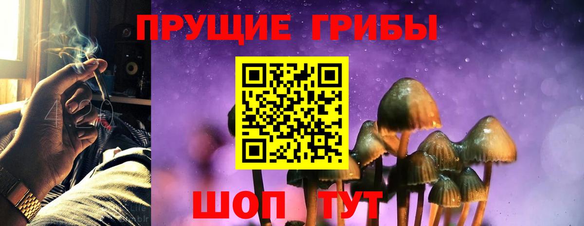Галлюциногенные грибы Cubensis Темрюк